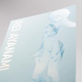 Neon Genesis Evangelion – Perfect Edition 2
