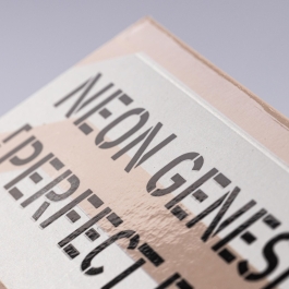 Neon Genesis Evangelion – Perfect Edition 3