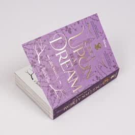 Once Upon a Dream