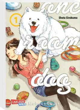 One Room Dog 1