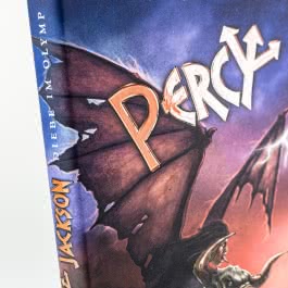 Percy Jackson - Diebe im Olymp (farbig illustrierte Schmuckausgabe) (Percy Jackson 1)