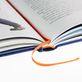 Percy Jackson - Diebe im Olymp (farbig illustrierte Schmuckausgabe) (Percy Jackson 1)