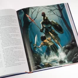 Percy Jackson - Diebe im Olymp (farbig illustrierte Schmuckausgabe) (Percy Jackson 1)