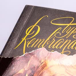 Rembrandt (Graphic Novel Paperback)