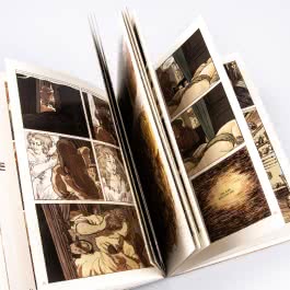 Rembrandt (Graphic Novel Paperback)