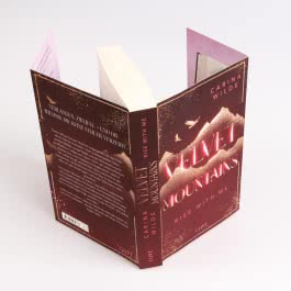 Rise With Me (Velvet Mountains 2)