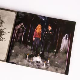Royals of Nightfall. Dämonenfluch (Royal Shadows 1)