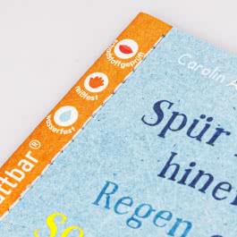 Baby Pixi (unkaputtbar) 176: Spür in dich hinein: Regen oder Sonnenschein?