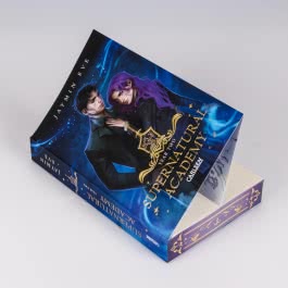 Supernatural Academy: Year Two (Supernatural Academy 2)