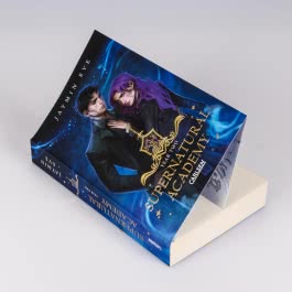 Supernatural Academy: Year Two (Supernatural Academy 2)