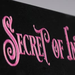 The Secret of Ink (Chronica Arcana 2)