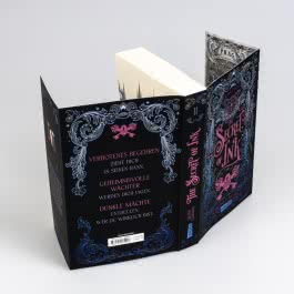 The Secret of Ink (Chronica Arcana 2)
