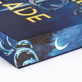 The Five Crowns of Okrith 2: The Witches' Blade