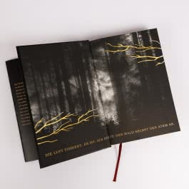 The Wolf King (Wolf King 1)