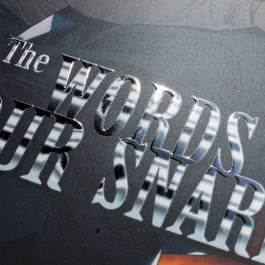The Words In Your Snare 6