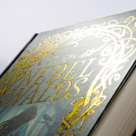 Eventyr-Saga 1: Tochter des Nebelwalds