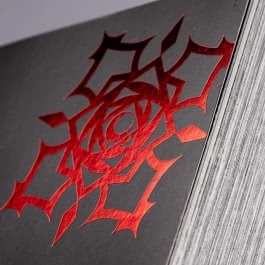 Vampire Knight Pearls 1