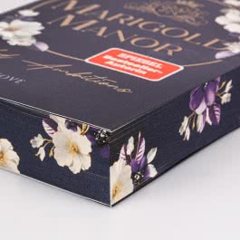 Marigold Manor 2: Veiled Ambitions