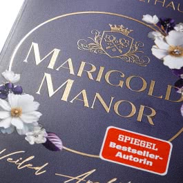 Marigold Manor 2: Veiled Ambitions