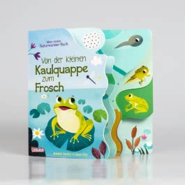Von der kleinen Kaulquappe zum Frosch