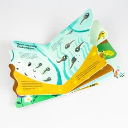 Von der kleinen Kaulquappe zum Frosch