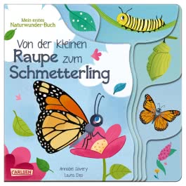 Von der kleinen Raupe zum Schmetterling