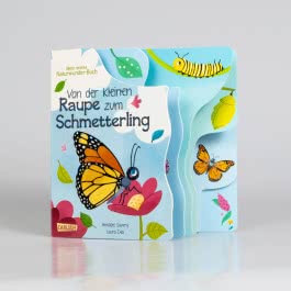 Von der kleinen Raupe zum Schmetterling