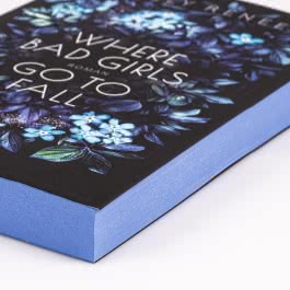 Where Bad Girls go to Fall (Good Girls 2)