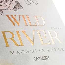 Magnolia Falls 2: Wild River