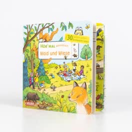 Hör mal (Soundbuch): Wimmelbuch: Wald und Wiese