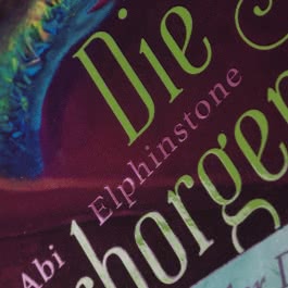 Die vier verborgenen Reiche 3: Zeb und der Drache aus Morgenschimmer 