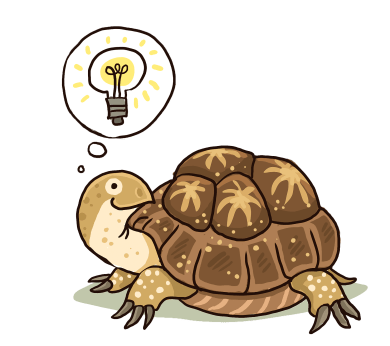 Die Schule der magischen Tiere: Henrietta Schildkröte