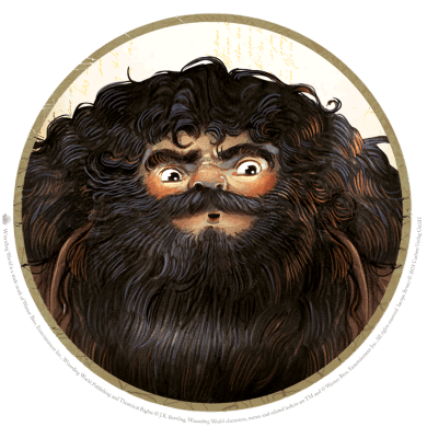 Harry Potter Hagrid