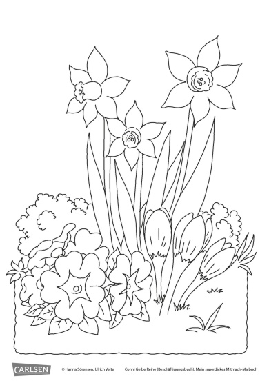Ausmalbild Frühling Narzissen