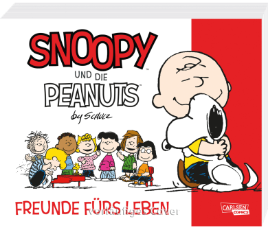 Penauts Snoopy Charlie Brown