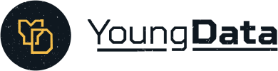 Logo YoungData