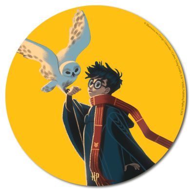 Harry Potter mit seiner Eule Hedwig