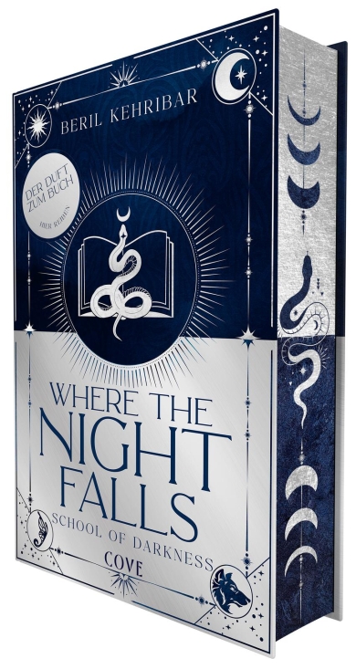 Where the Night Falls (School of Darkness 1)