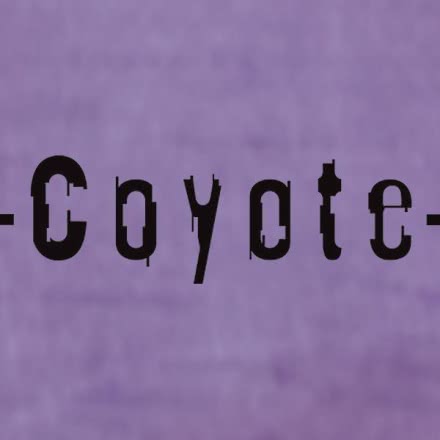 Coyote