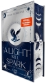Cover von „A Light Will Spark“