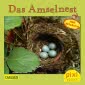 Pixi 2007: Das Amselnest