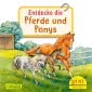Pixi 2185: Entdecke die Pferde und Ponys