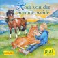 Pixi 2352: Rodi von der Sommerweide