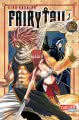Fairy Tail 12