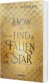 Cover von „How To Find A Fallen Star“