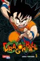 Dragon Ball Massiv 1