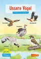 Pixi Wissen 108: Unsere Vögel