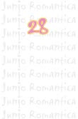 Junjo Romantica 28