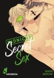 Midnight Secret Sex