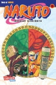 Naruto 15